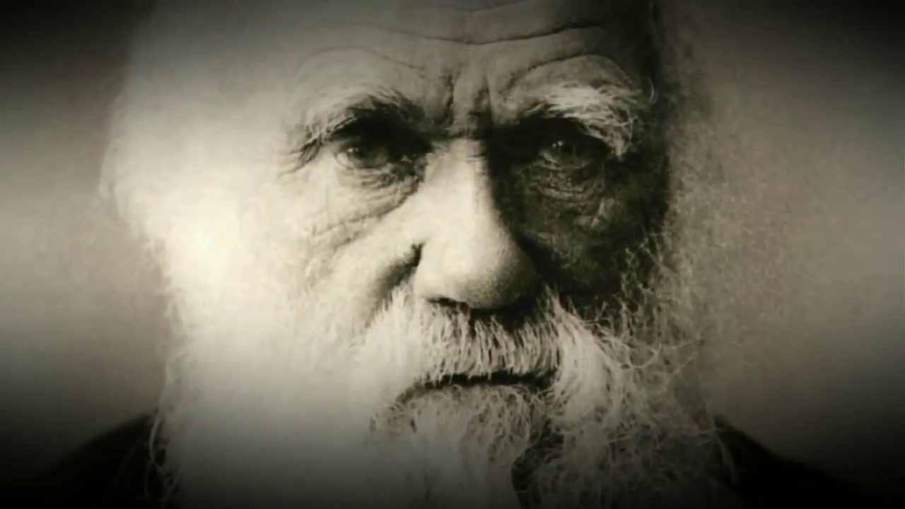 Teoria da Evolução