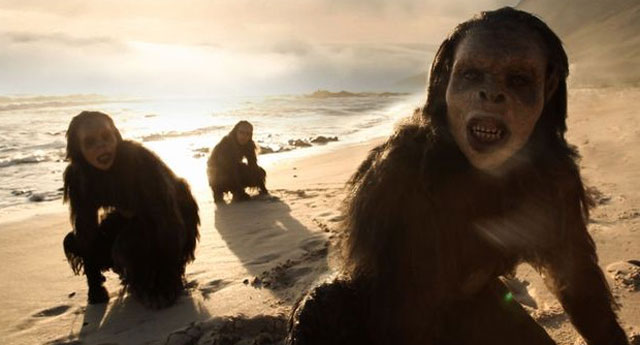 Teoria da Evolução